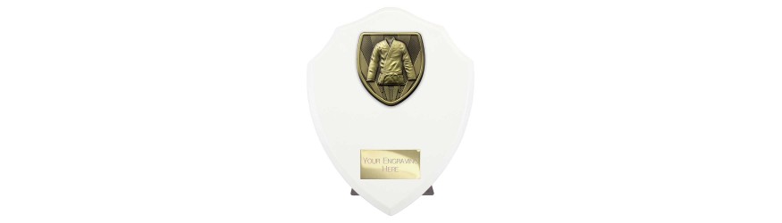 COBRA SHIELD MARTIAL ARTS TROPHY - 3 SIZES - 12.5CM - 17.5CM COBRA SHIELD MARTIAL ARTS TROPHY - 3 SIZES - 12.5CM - 17.5CM